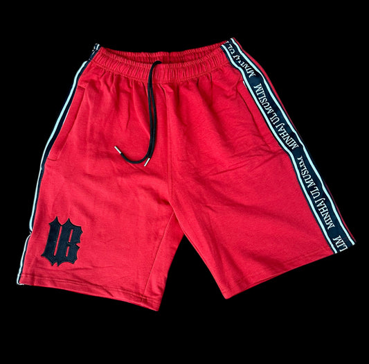 UnBothered UB Logo Shorts